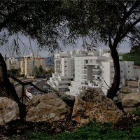 Израиль *2021г Утро в Мигдаль аЭмеке :: ujgcvbif 