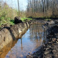 И вот уж Параскева Грязниха на дорогах грязь разводит... :: Андрей Заломленков