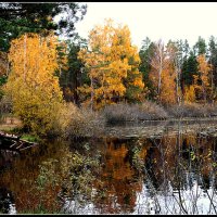 *** :: Aleksandr Gal