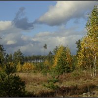 *** :: Aleksandr Gal