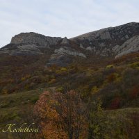 Природа Крыма :: Amazing Cosmea