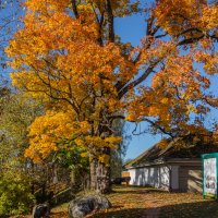 *** :: Геннадий Порохов