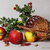 Натюрморт :: Светлана Ищенко