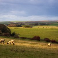 Пастораль :: Алекс Римский