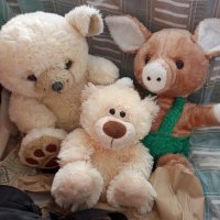Мишки и примкнувший к ним Степашка :: Galina Solovova