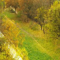 Листопад вовсю ! :: Юрий Куликов