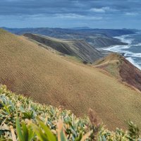 В сторону пролива Лаперуза. :: fillarret-2