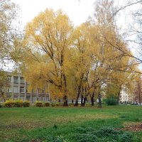 Последние дни октября :: Galina Solovova Последние дни октября :: Galina Solovova