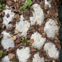 *** :: someone somewere