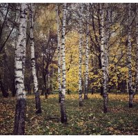 *** :: someone somewere