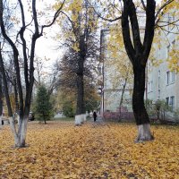 *** :: Валентина Береснева