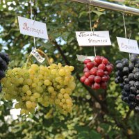 Мой город :: Венера Чуйкова