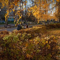 "На старой аллее в конце октября. Старики о политике"© :: Владимир Макаров "На старой аллее в конце октября. Старики о политике"© :: Владимир Макаров