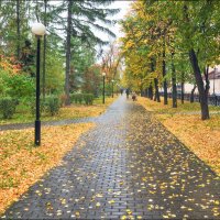 Осень :: **** vedin