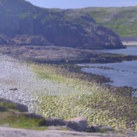 НаТериберке :: esadesign Егерев