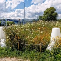 Прогулка по променаду Круизного терминала :: Veera V