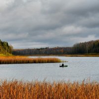Одинокий рыбак на озере. :: Милешкин Владимир Алексеевич 