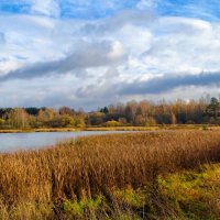 Осень в конце октября. :: Милешкин Владимир Алексеевич 
