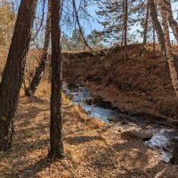 Лесная речка Каркаралинка. :: Андрей Хлопонин Лесная речка Каркаралинка. :: Андрей Хлопонин