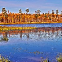 Протока Сырой Аган осенью,.,.. :: Владимир 