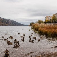 Дивногорск :: Юлия Ермолаева