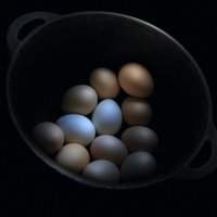 Дюжина :: Игорь 