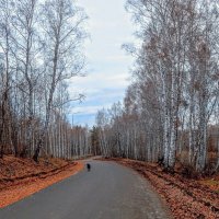 Осенний марафон! :: Елена Хайдукова ( Elena Fly )