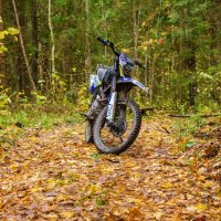 __ :: Галина Ложечникова