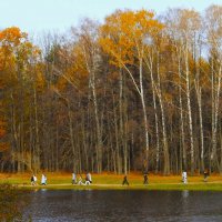 ОСЕННИЙ ПЕЙЗАЖ НА БЕРЕГУ НИЖНЕГО  КУЗЬМИНСКОГО ПРУДА :: Валентина 