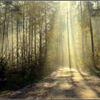 *** :: Aleksandr Gal