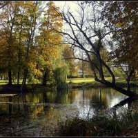 Осенний пруд :: Aleksandr Gal