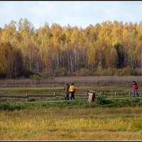 *** :: Aleksandr Gal