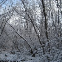 Прогулки по островам :: Anna Ivanova