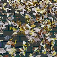 *** :: Валентина Береснева