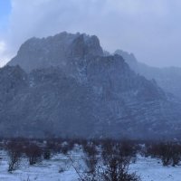 Природа Крыма :: Amazing Cosmea