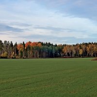 Эх, дороги, дороги ... Выйти бы и погулять! :: Alexandеr P