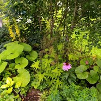 дачное :: tatiana дачное :: tatiana