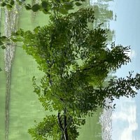 Весна :: Натали 