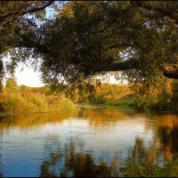 Утро на Дону. :: Александр Утро на Дону. :: Александр