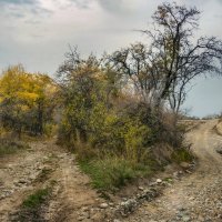 Тропки,дорожки :: LudMila 