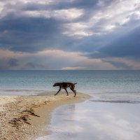 *** :: Игорь В. Капустин