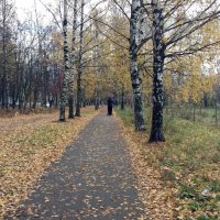 В парке :: Galina Solovova