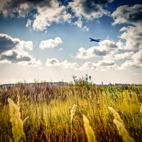Трава и самолеты. :: Александр Беляков