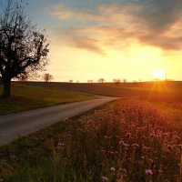 sunrise :: Elena Wymann