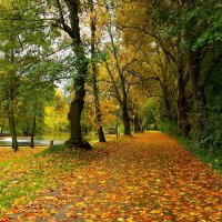 Уходит октябрь :: Юрий. Шмаков Уходит октябрь :: Юрий. Шмаков