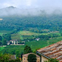 Туманное утро в д. Лейнс :: Георгий А Туманное утро в д. Лейнс :: Георгий А