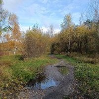 Осенний пейзаж :: Леонид Иванчук