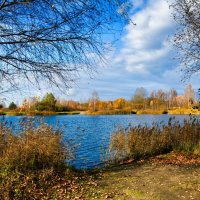 Осенний пейзаж с озером (репортаж из поездки по области). :: Милешкин Владимир Алексеевич Осенний пейзаж с озером (репортаж из поездки по области). :: Милешкин Владимир Алексеевич
