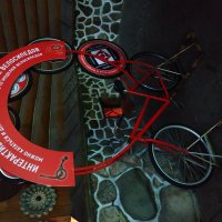 Пока врачи не разрешают самому ездить на велосипеде :-) :: Андрей Лукьянов