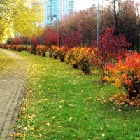 По аллеям парка бродит осень. :: Татьяна Помогалова